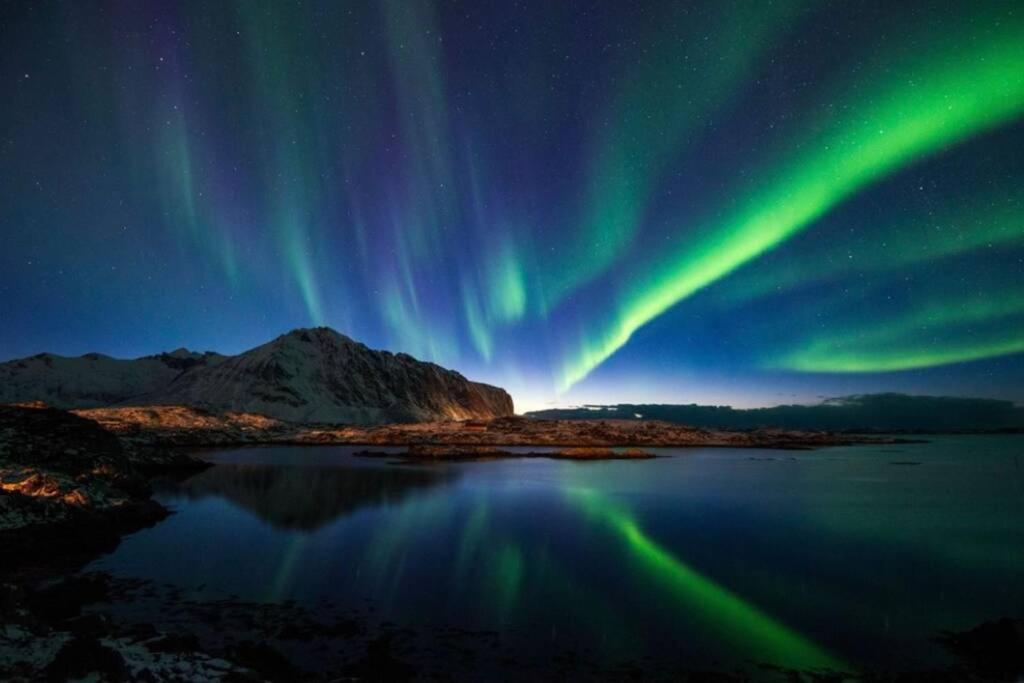 Villa Borgvag - A Unique Seafront Villa In The Heart Of Lofoten Bostad Dış mekan fotoğraf